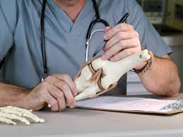 Understanding the Role of an Orthopedic Surgeon in Treating&nbsp;Musculoskeletal